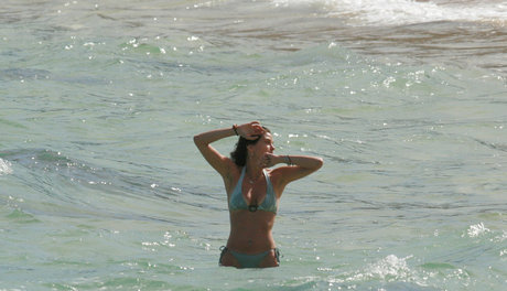 Teri Hatcher star art images