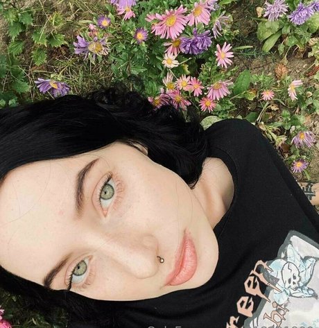 misaki meii star naked images