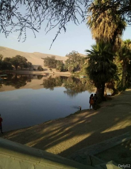 dulce bebe 10 model best archive