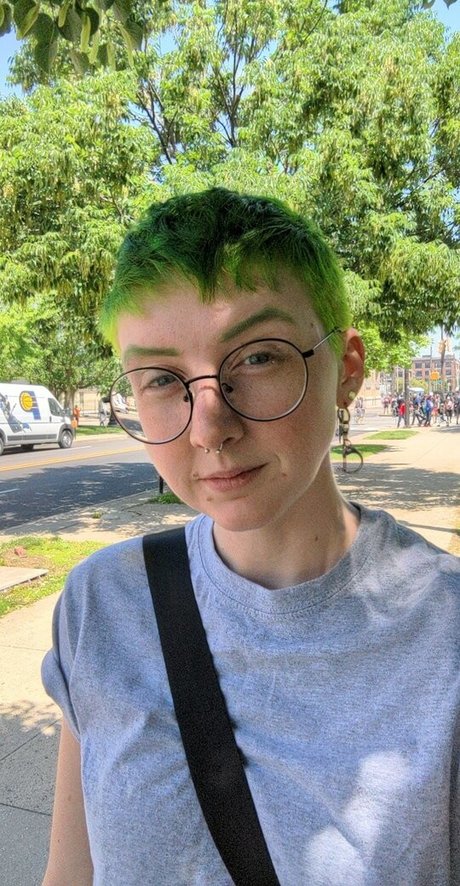 emulicious model top pics