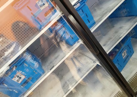 wetkitten666 xxx pornstar picture