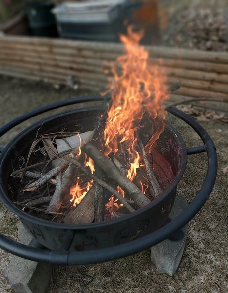 galaximoss art model pictures