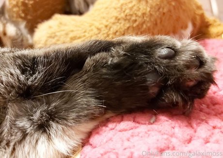 galaximoss model sex galleries