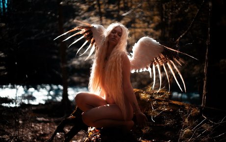 ayeshaxo pornstar hd photo