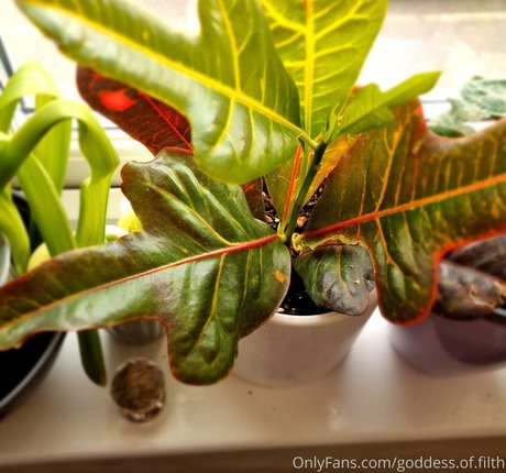 goddess of filth model perfect pics