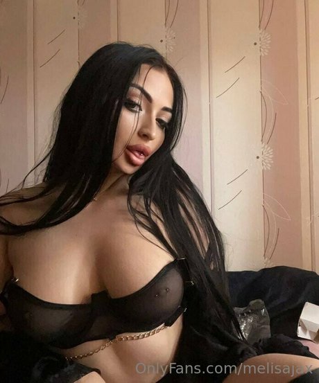 melisajax star art gallery