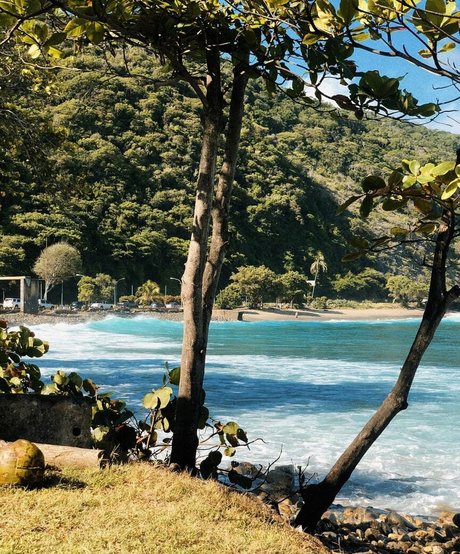 Daniworld adult actress galleries