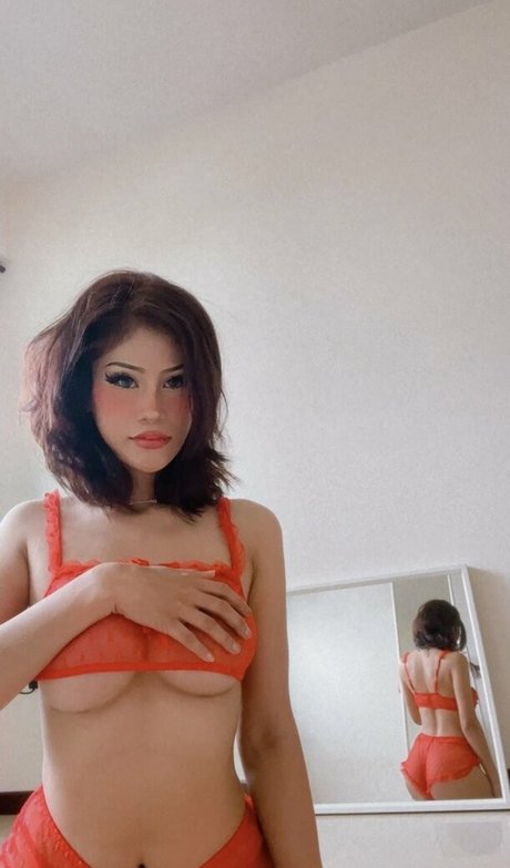 Canigetalaserwhip xxx star pictures