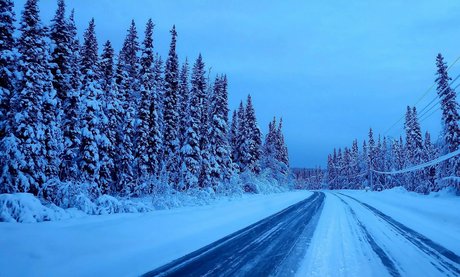 snow bunny907 model pornographic galleries