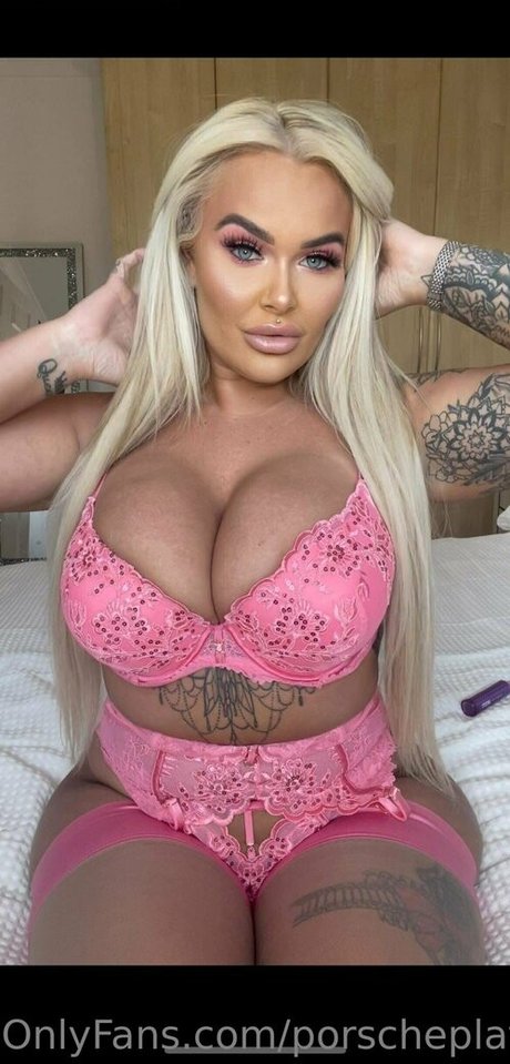 Porscheplatinum model top img