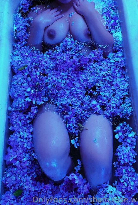 sham rose w star naked pictures