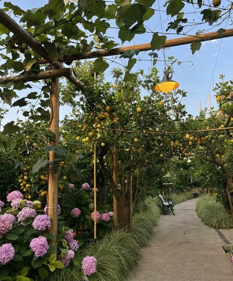 Charlotte Bregman star high quality pic