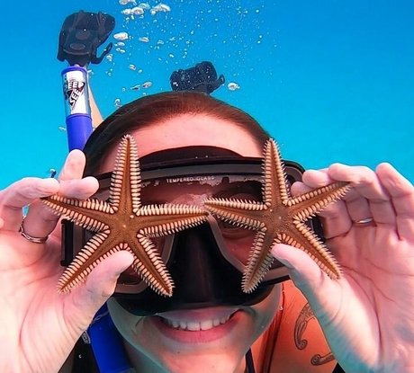 Taylor Francis star best images