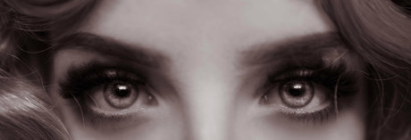 snoot star galleries