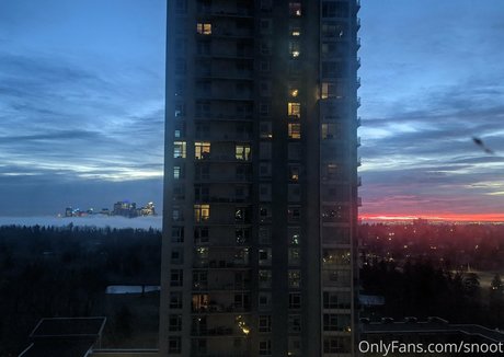 snoot free star pics