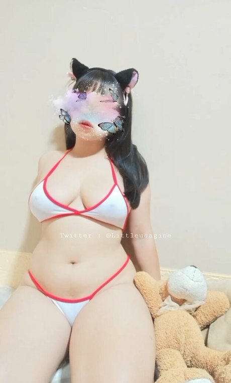 Littleusagine star pretty picture