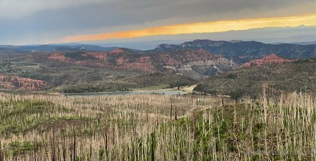 cheekz26 beautiful star picture