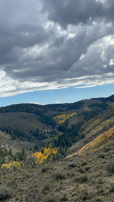 cheekz26 star xxx img