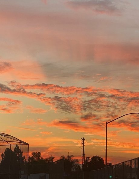 oliviawildinfree pornstar naked gallery