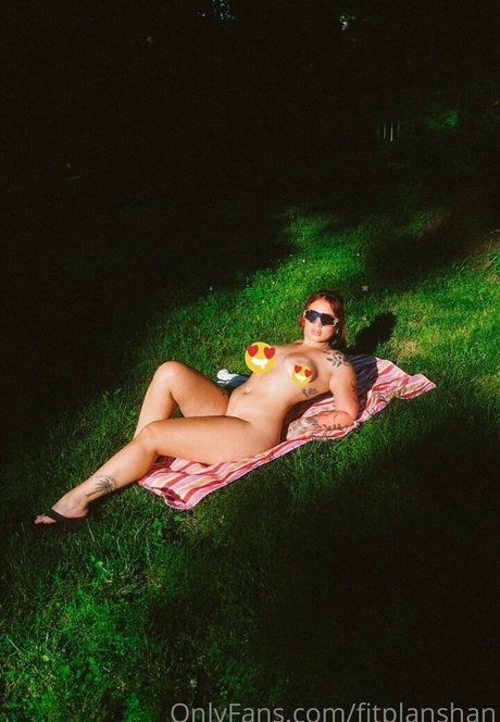 fitplanshan model art image