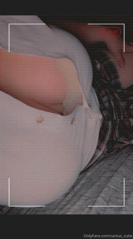 cactus cutie best star gallery