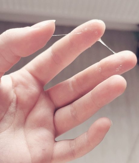 freewafflehoe perfect actress photos