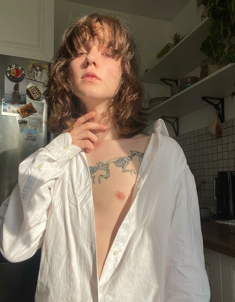 Mossy Barmales star top galleries