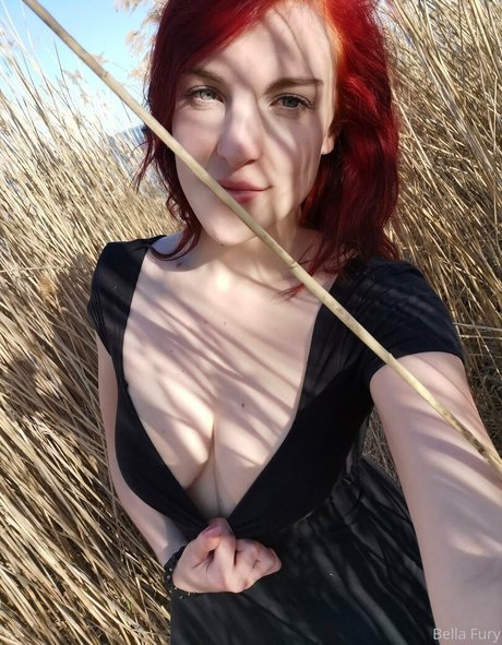 bellafuryfree star pretty photo