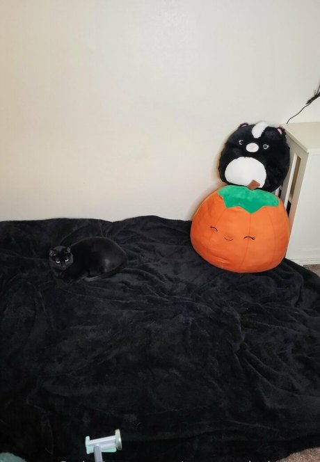 twopunksinlove nice star image