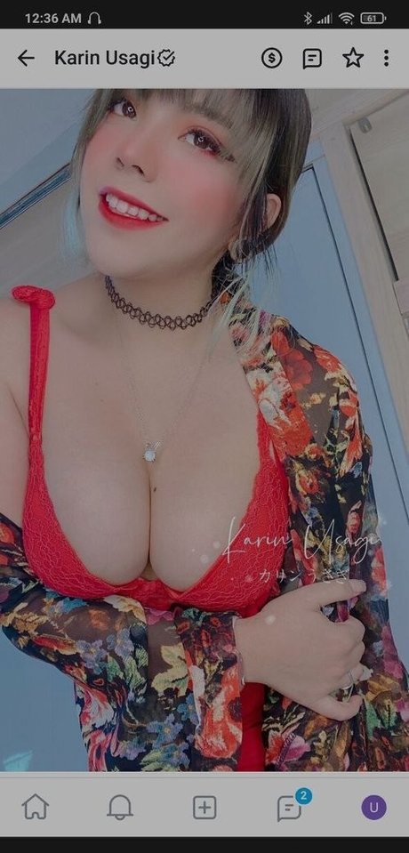 Karin Usagi pretty model gallery