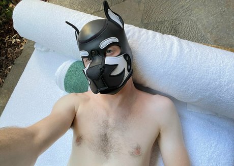 pupkurt art pornstar gallery