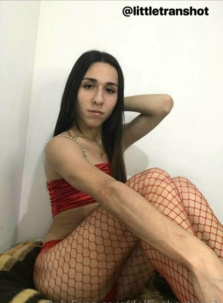 delfisebastiani1 art star pic