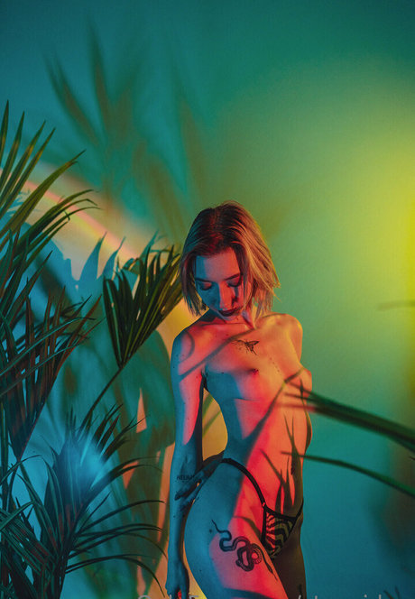 stexvideo adult model pics