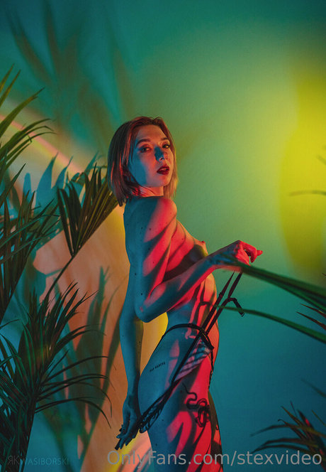 stexvideo xxx pornstar photo