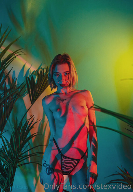 stexvideo xxx star archive