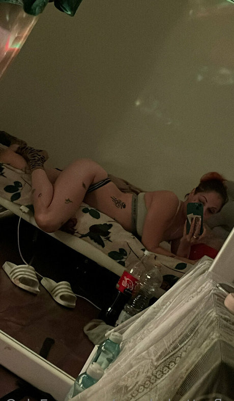 purple butterfly star hd photos