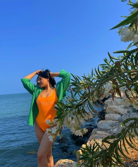 sareelle art pornstar gallery