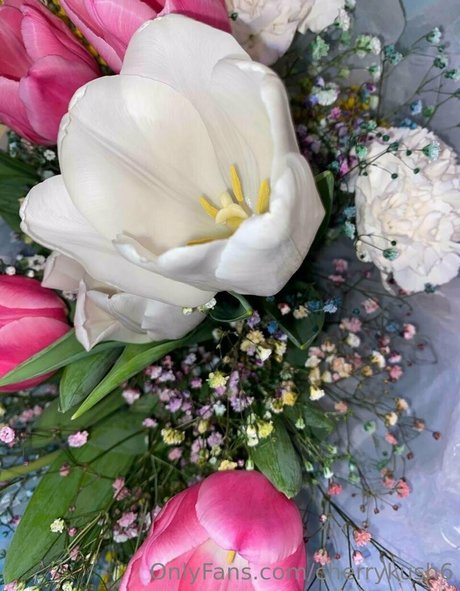 cherrykush6 erotic star archive