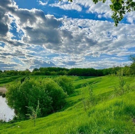 cherrykush6 pretty model archive