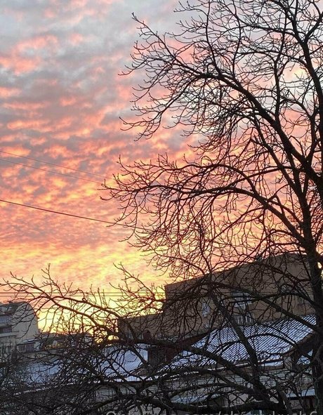 cherrykush6 adult actress archive