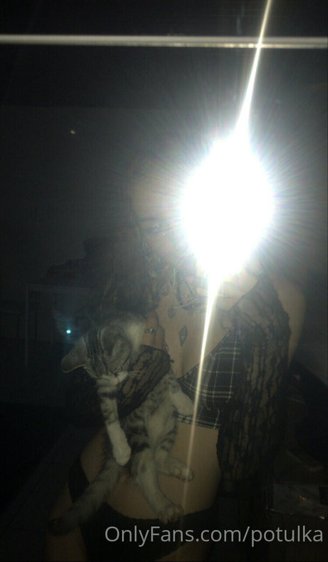 potulka star beautiful picture