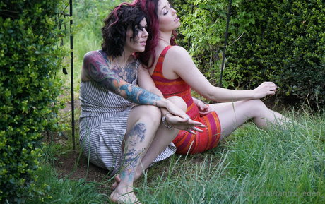 tantric eden star free images