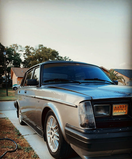 Alieninara model free image