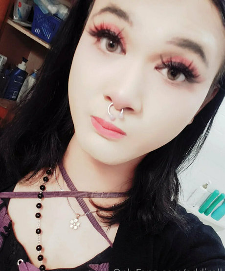 addiroll high quality star photo