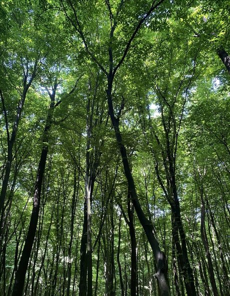 nutscracker8306 model sex archive