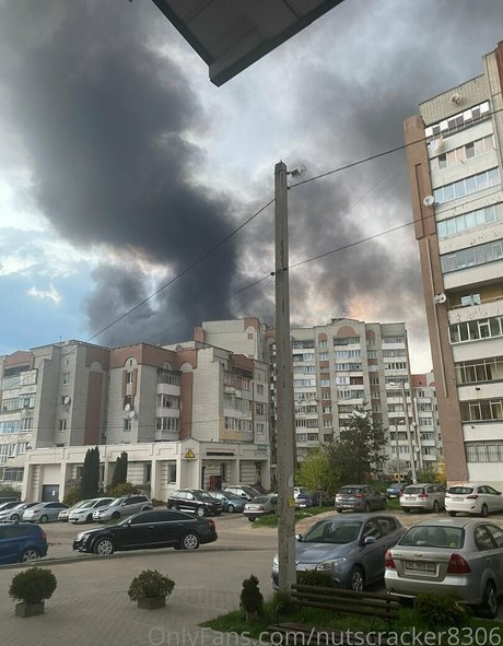 nutscracker8306 exclusive star photo