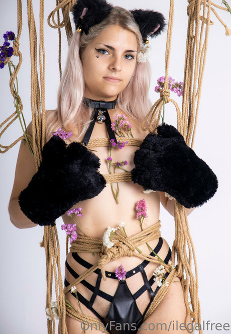 ilegalfree pornstar free pic