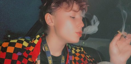 tokin bears model nice archive