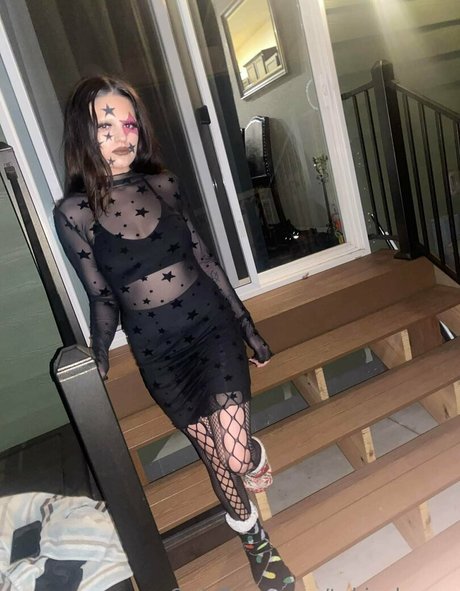 tokin bears hd model gallery