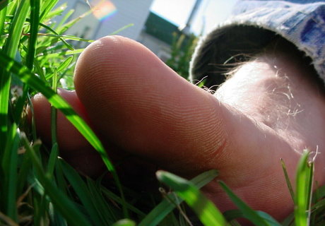 homegiant star top pics